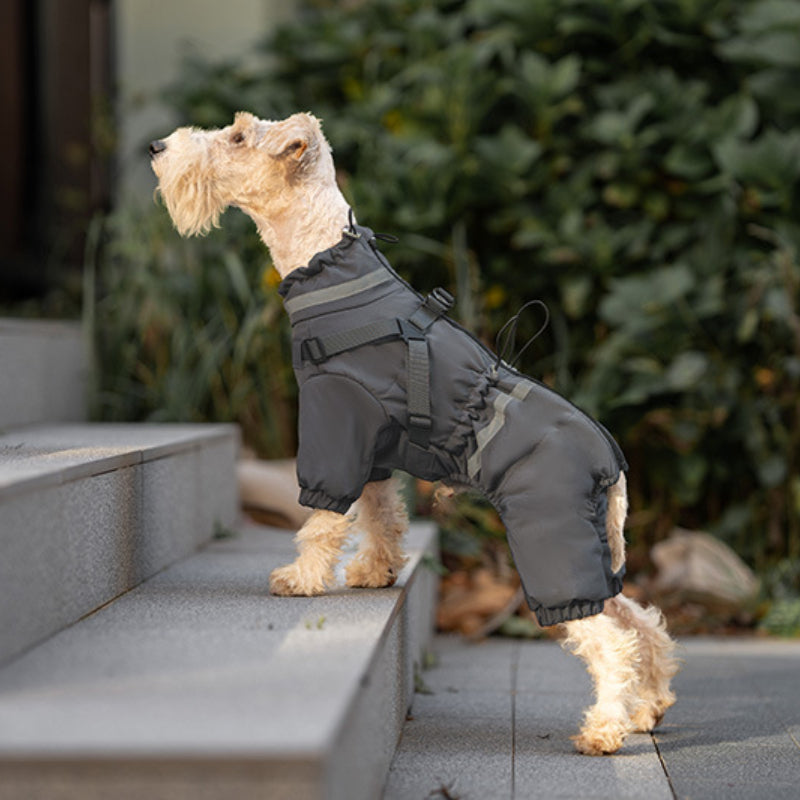 Veste d'hiver pour chien Harnais réglable chaud et imperméable pour petits et moyens chiens
