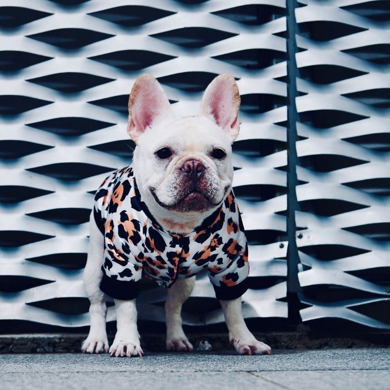 Manteau chaud imperméable pour chien et veste d'hiver polaire pour chien
