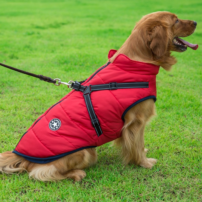 Hundejacke große Hundejacke wasserdicht, warm und zugfest