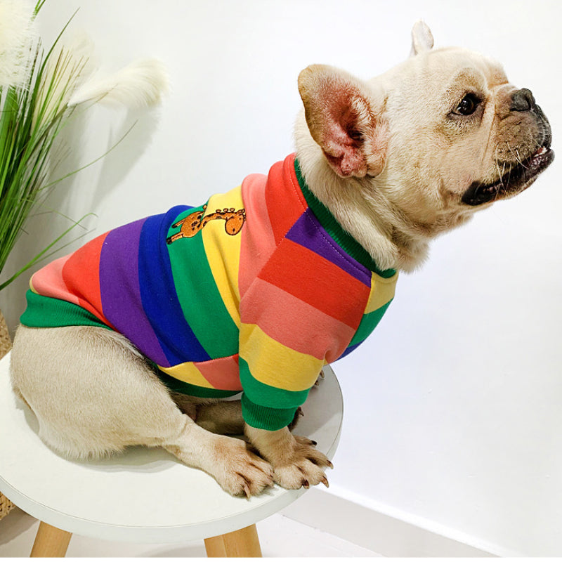 Sweat-shirt chaud en peluche pour petits chiens, assorti aux vêtements de l'animal et du propriétaire