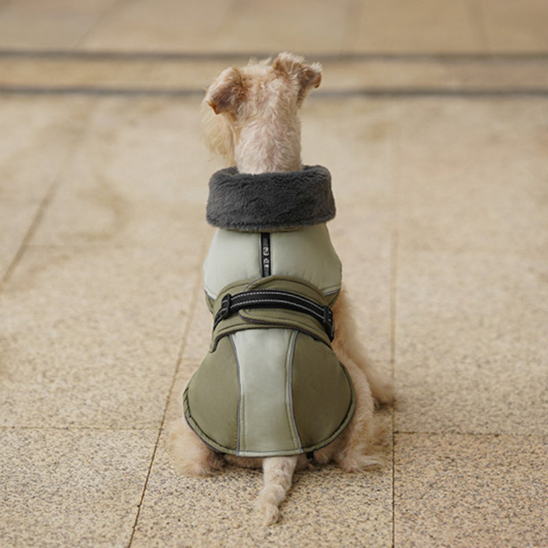 Veste d'hiver épaisse pour chien, col haut, réfléchissante et chaude, pour petits et moyens chiens