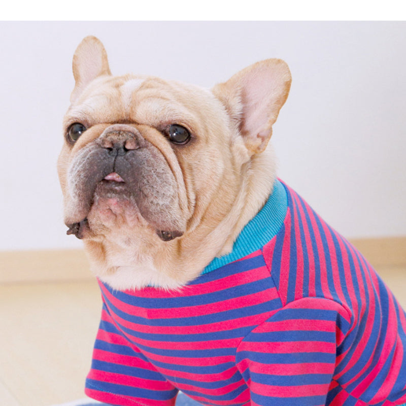 Dog T-shirt sweatshirt Teddy Corgi French Bulldog