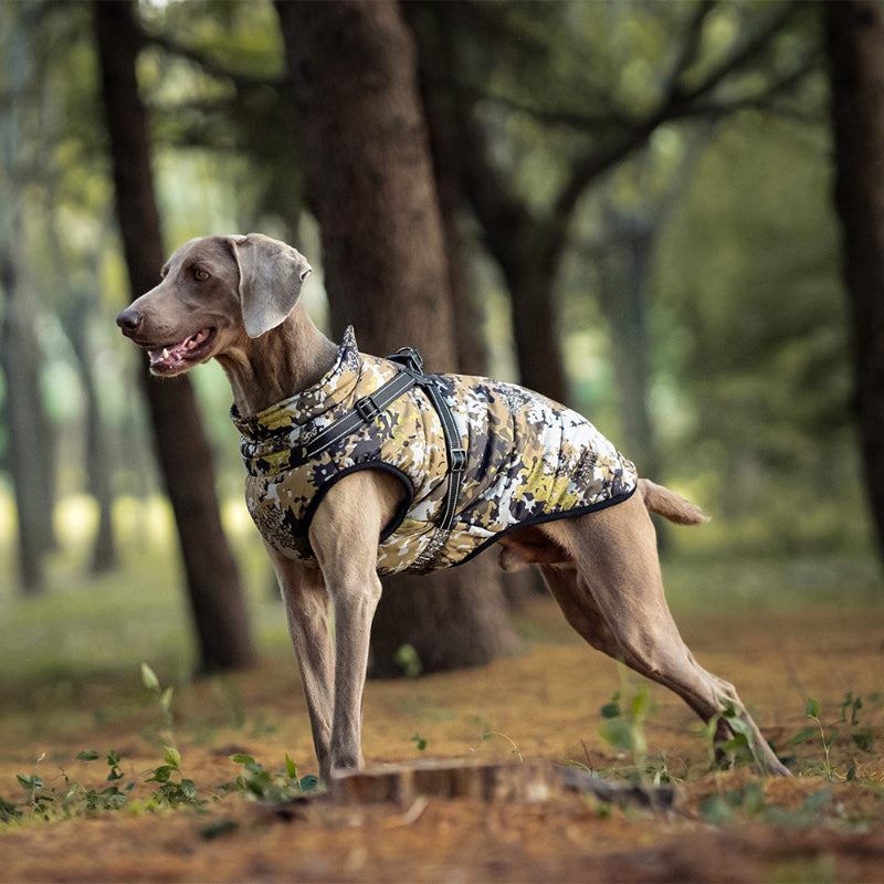 Warme Jacke für große Hunde, reflektierend, winddicht und regenfest
