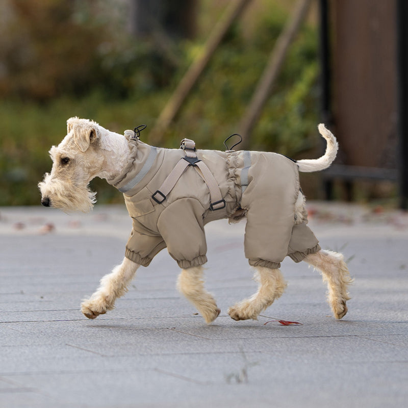 Veste d'hiver pour chien Harnais réglable chaud et imperméable pour petits et moyens chiens