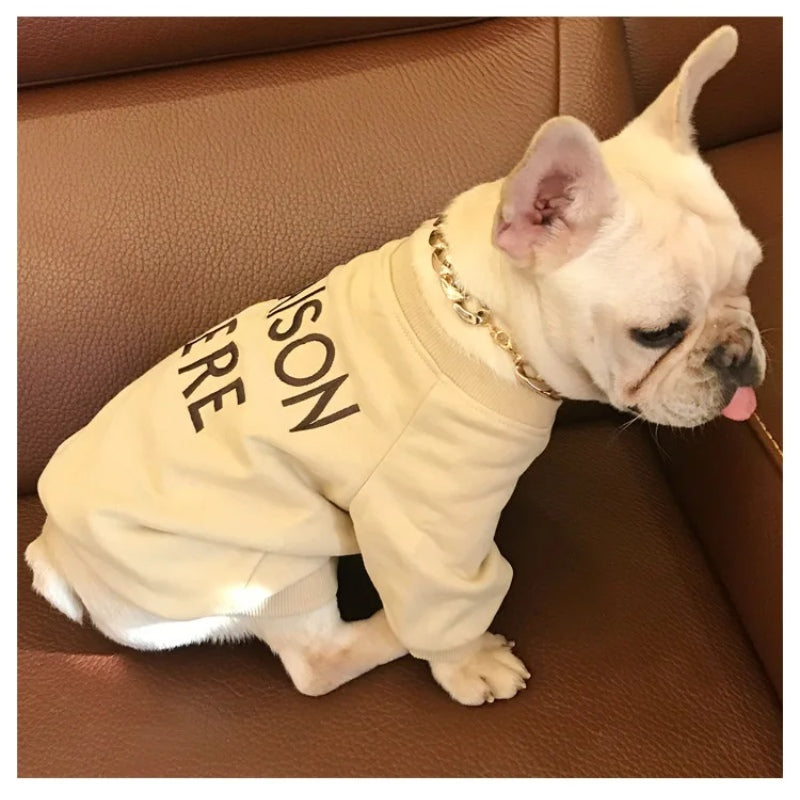 Matching pet and owner clothes embroidered letters pure cotton dog and owner same sweater teddy schnauzer pet matching clothing