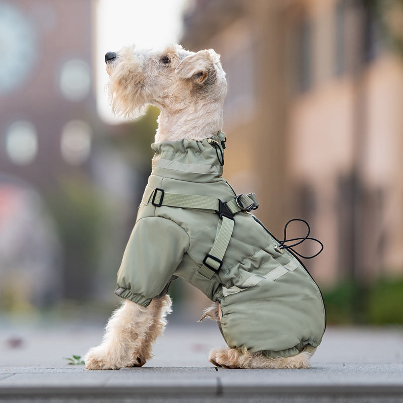 Veste d'hiver pour chien Harnais réglable chaud et imperméable pour petits et moyens chiens