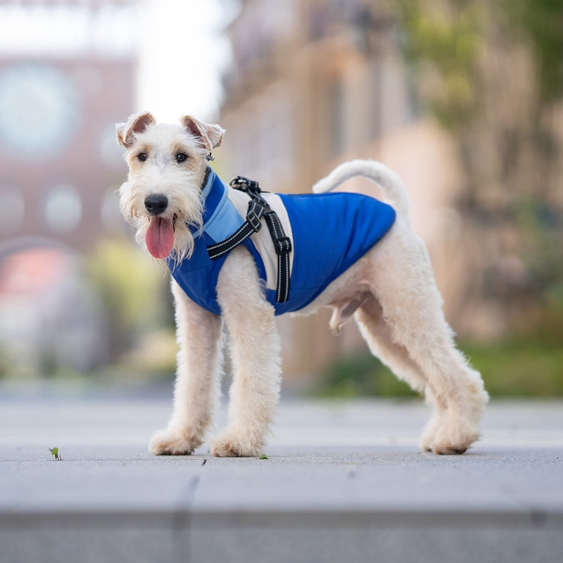 Veste chaude multifonctionnelle pour petits chiens avec boucle de traction