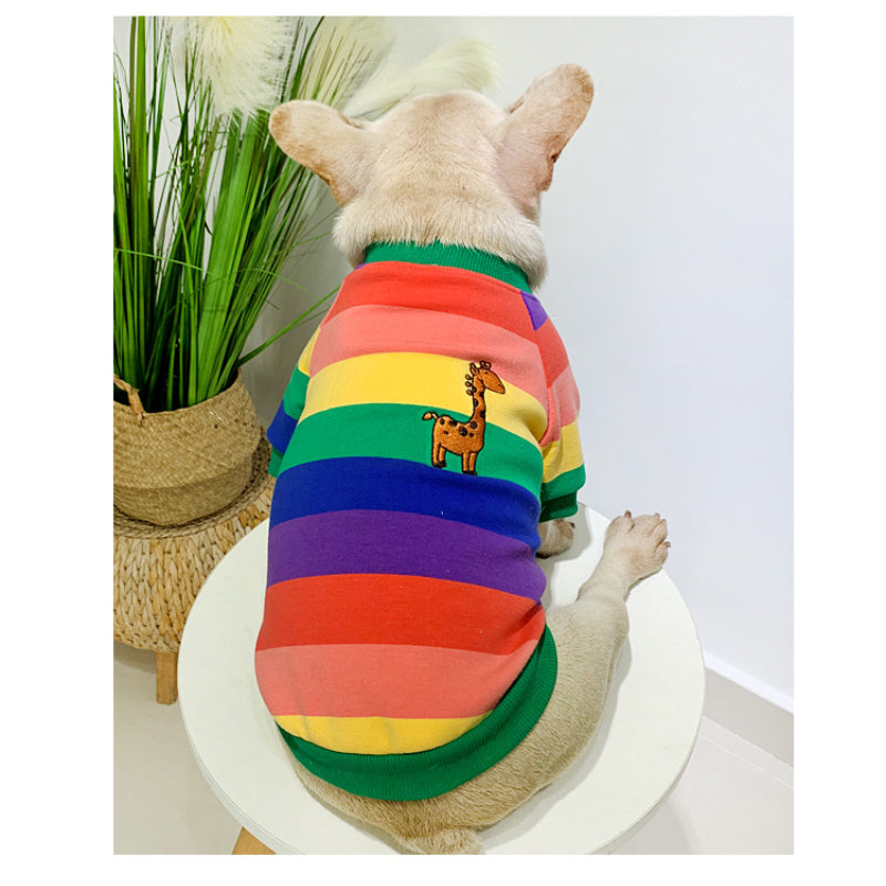 Sweat-shirt chaud en peluche pour petits chiens, assorti aux vêtements de l'animal et du propriétaire