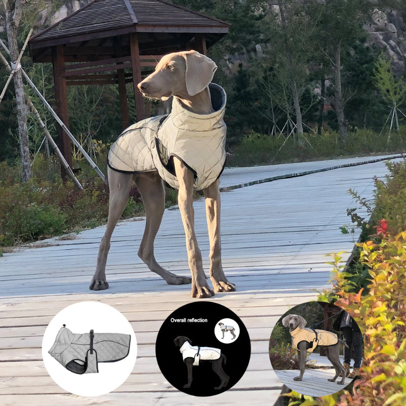 Große hund outdoor winter jacke ganzkörper reflektierende wasserdichte warm