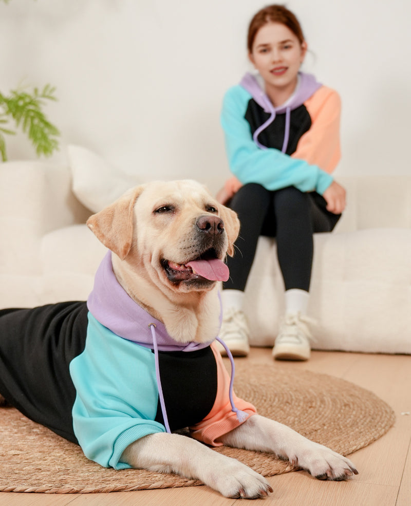 Kapuzenpullover für Hundebesitzer – weiche und bequeme Passform für alle Rassen