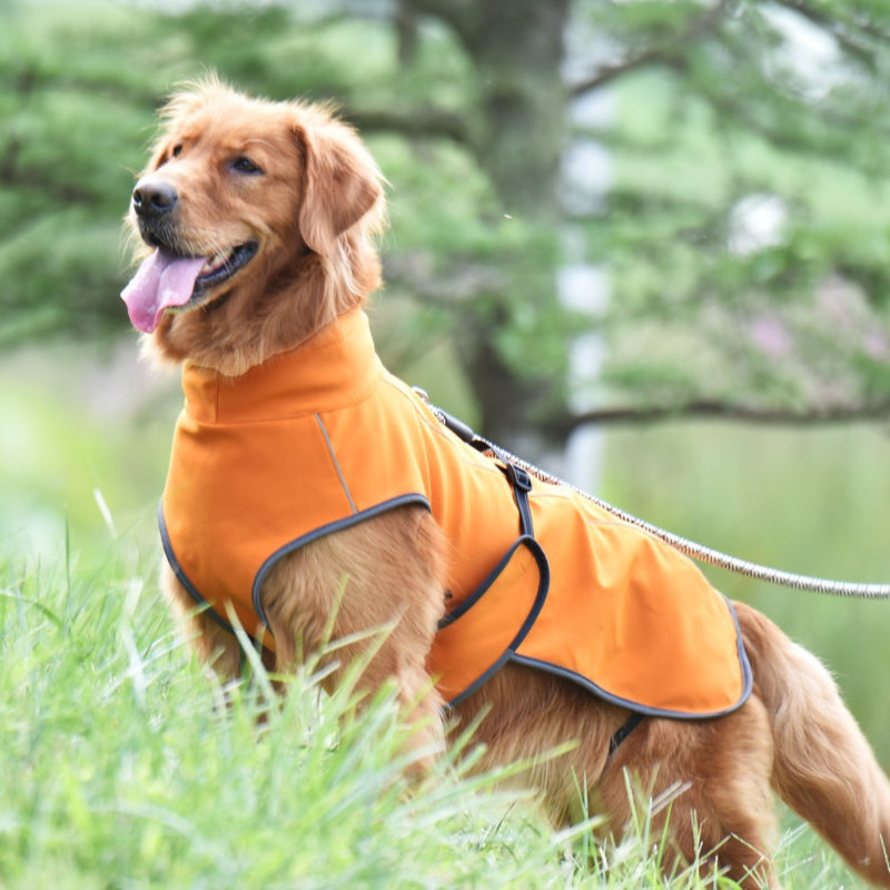 Veste d'hiver pour grands chiens Veste pour chien épaisse, chaude et imperméable