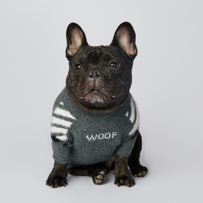Modischer Hundepullover für Corgi, Schnauzer und Französische Bulldogge