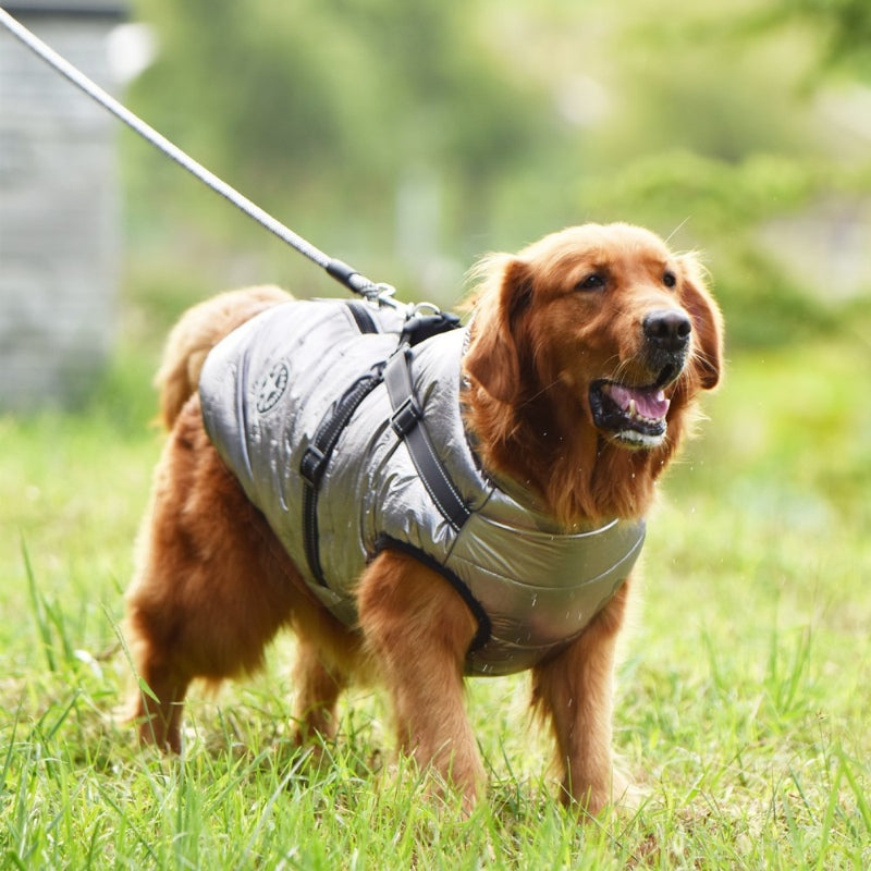 Hundejacke mit Traktion an Brust und Rücken, integrierte reflektierende Wärme für große Hunde