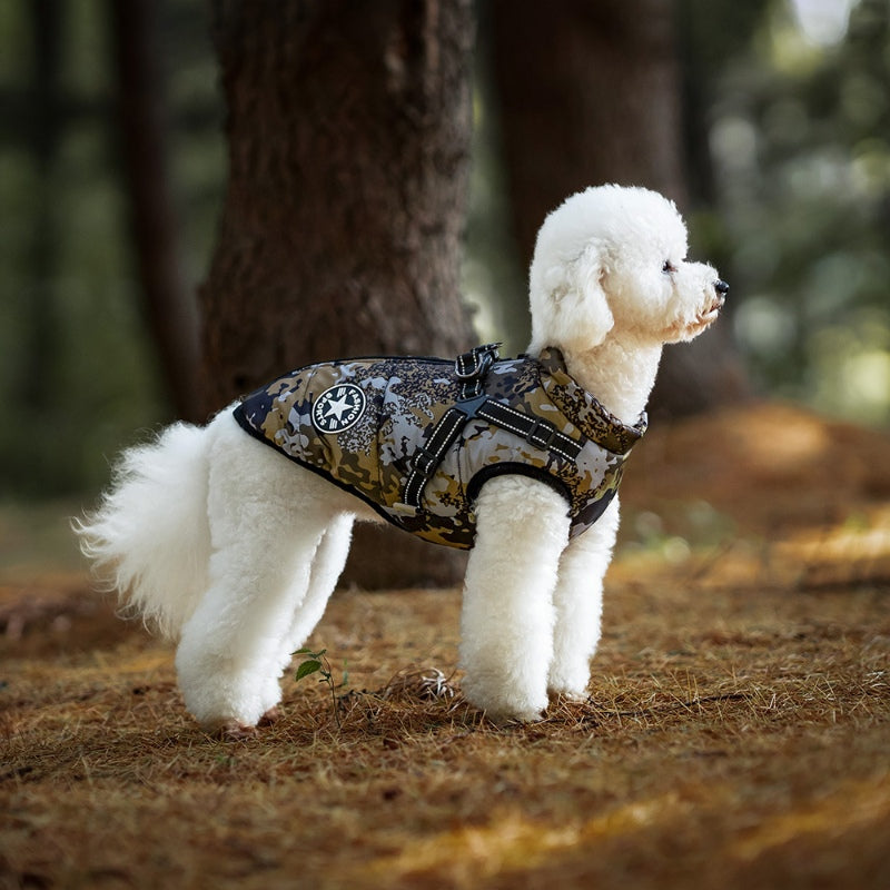 Gilet d'extérieur pour chien, chaud, réfléchissant, poitrine, dos, boucle de traction, petit chien