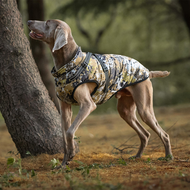 Warme Jacke für große Hunde, reflektierend, winddicht und regenfest