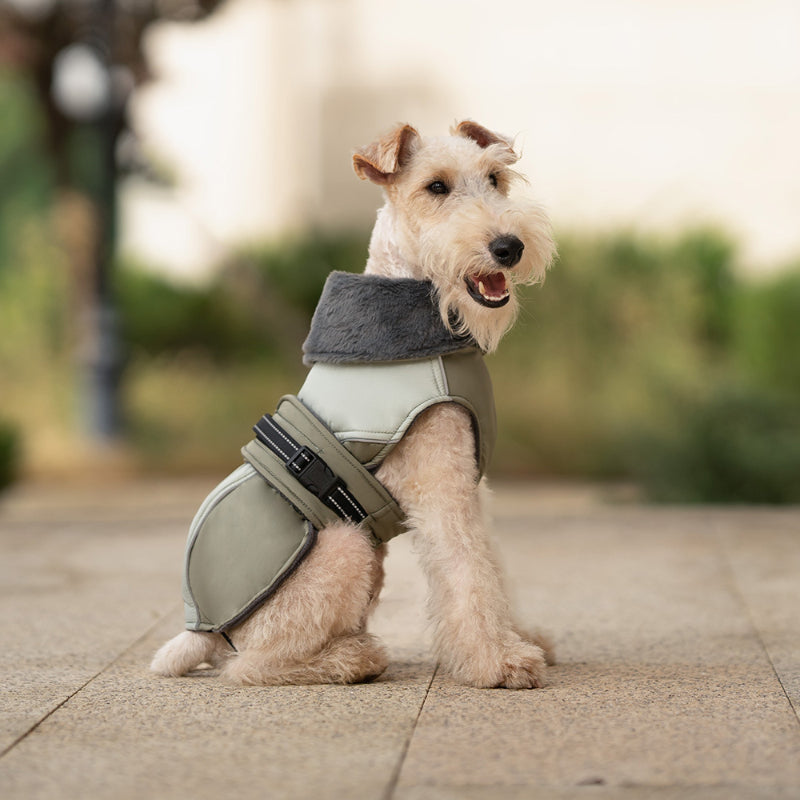 Veste d'hiver épaisse pour chien, col haut, réfléchissante et chaude, pour petits et moyens chiens