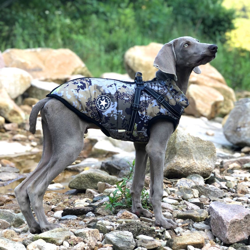 Warme Jacke für große Hunde, reflektierend, winddicht und regenfest