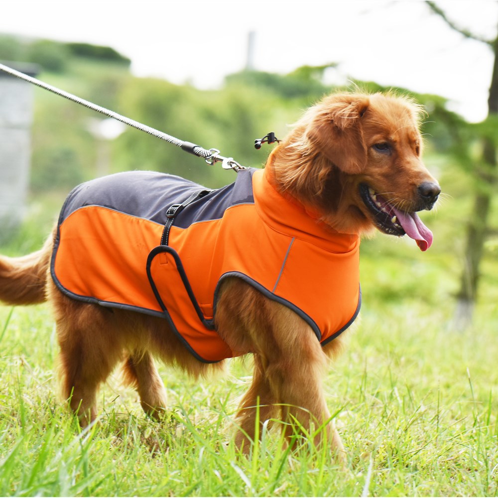 Veste d'hiver pour grands chiens Veste pour chien épaisse, chaude et imperméable