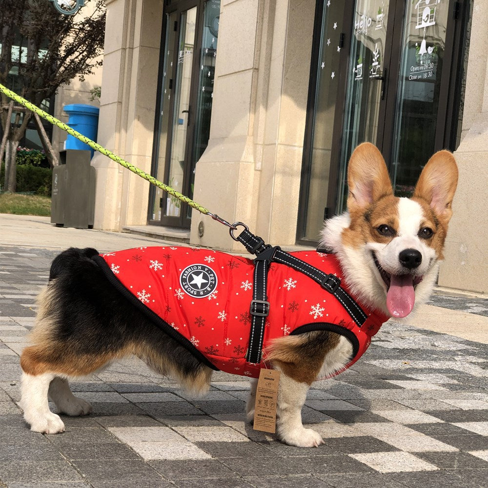 Veste chaude pour chien épaisse et imperméable avec harnais