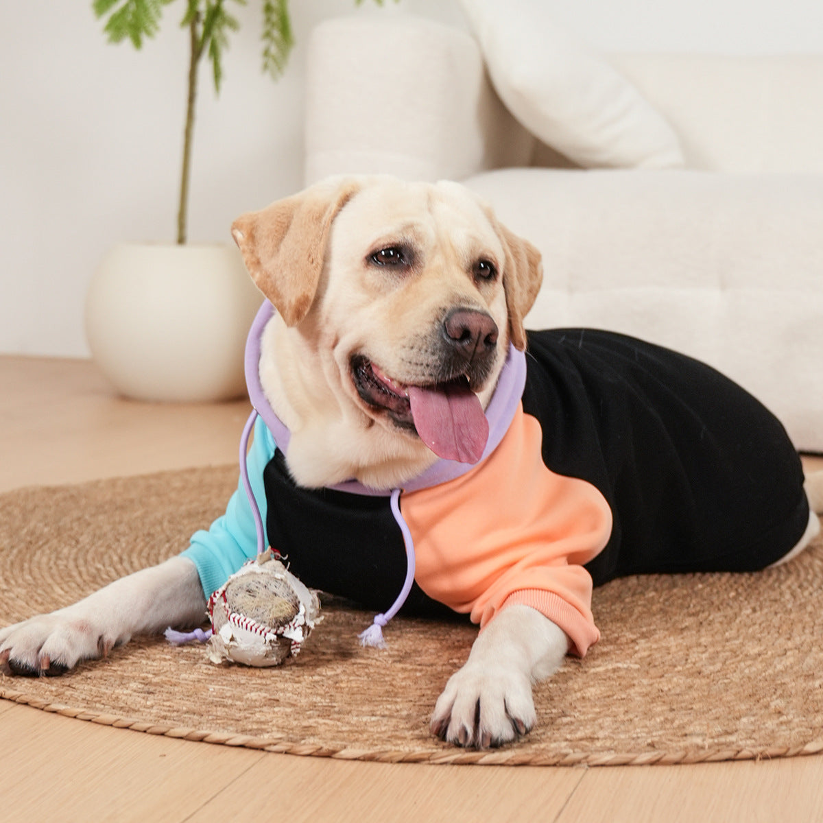 Kapuzenpullover für Hundebesitzer – weiche und bequeme Passform für alle Rassen