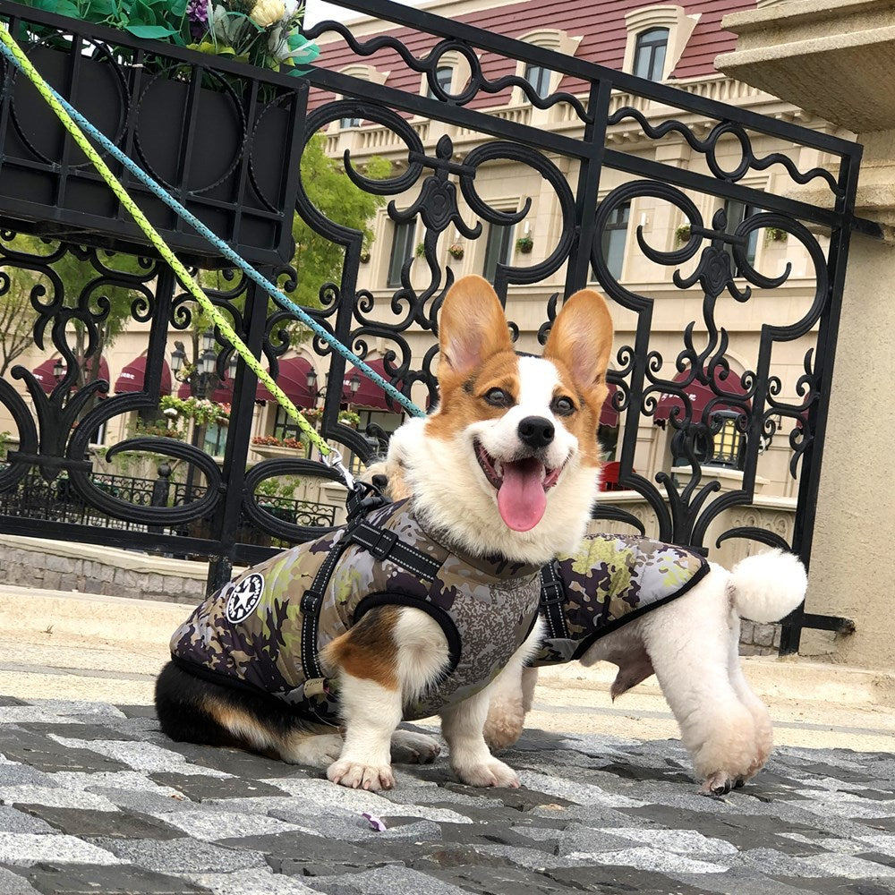 Veste chaude pour chien épaisse et imperméable avec harnais