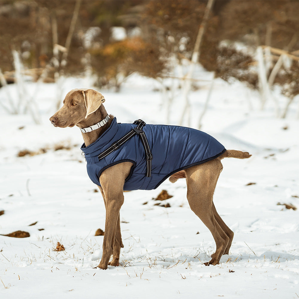 Veste chaude pour chien épaisse et imperméable avec harnais