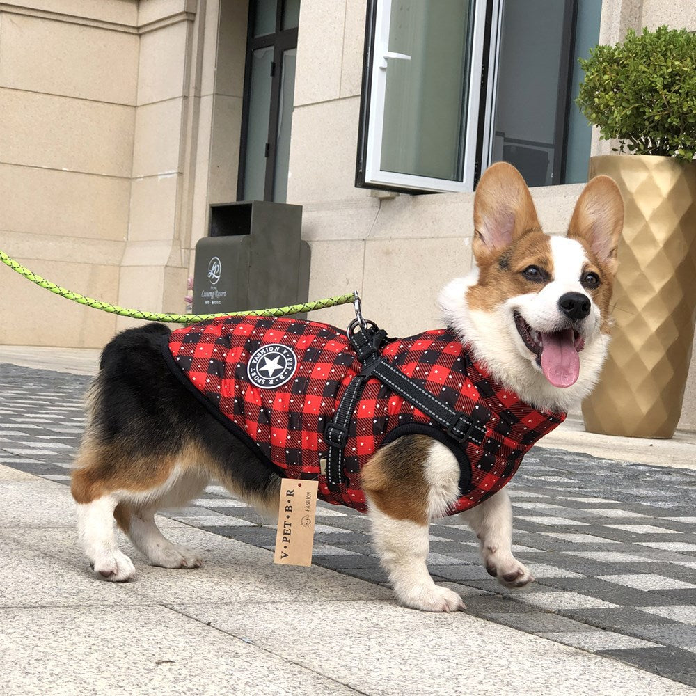 Veste chaude pour chien épaisse et imperméable avec harnais