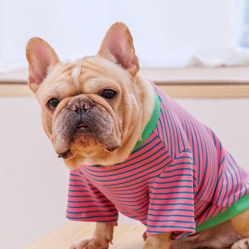 Dog T-shirt sweatshirt Teddy Corgi French Bulldog