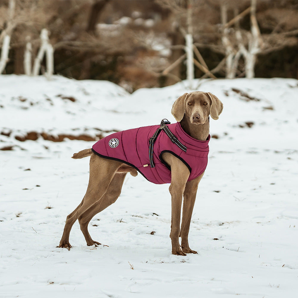 Veste chaude pour chien épaisse et imperméable avec harnais