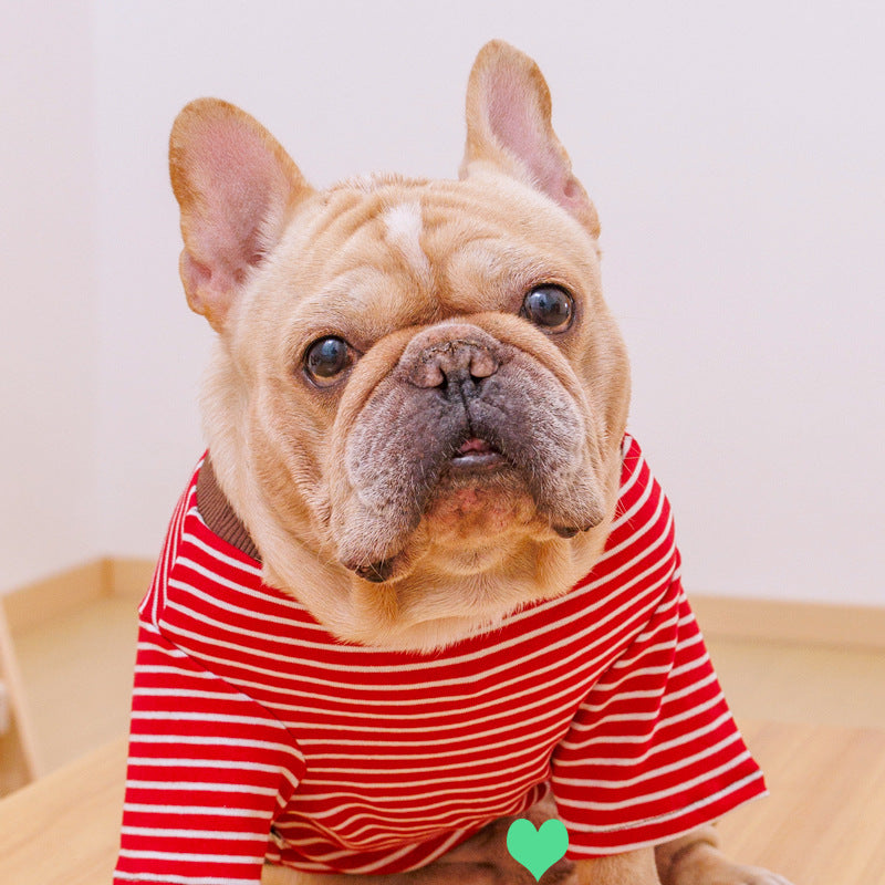 Dog T-shirt sweatshirt Teddy Corgi French Bulldog