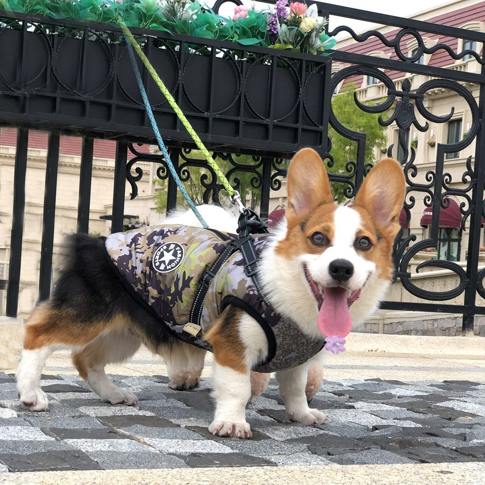 Gilet d'extérieur pour chien, chaud, réfléchissant, poitrine, dos, boucle de traction, petit chien