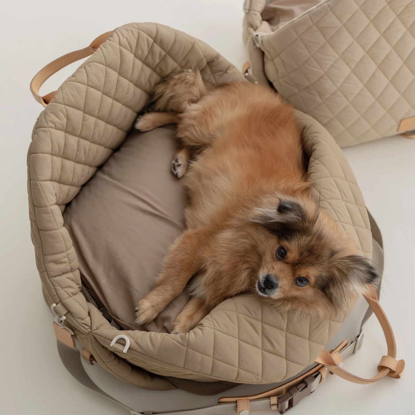 Siège auto pour chien 3 en 1, sac pour animaux de compagnie, imperméable et amovible