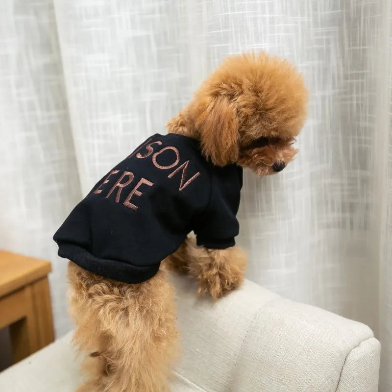 Matching pet and owner clothes embroidered letters pure cotton dog and owner same sweater teddy schnauzer pet matching clothing