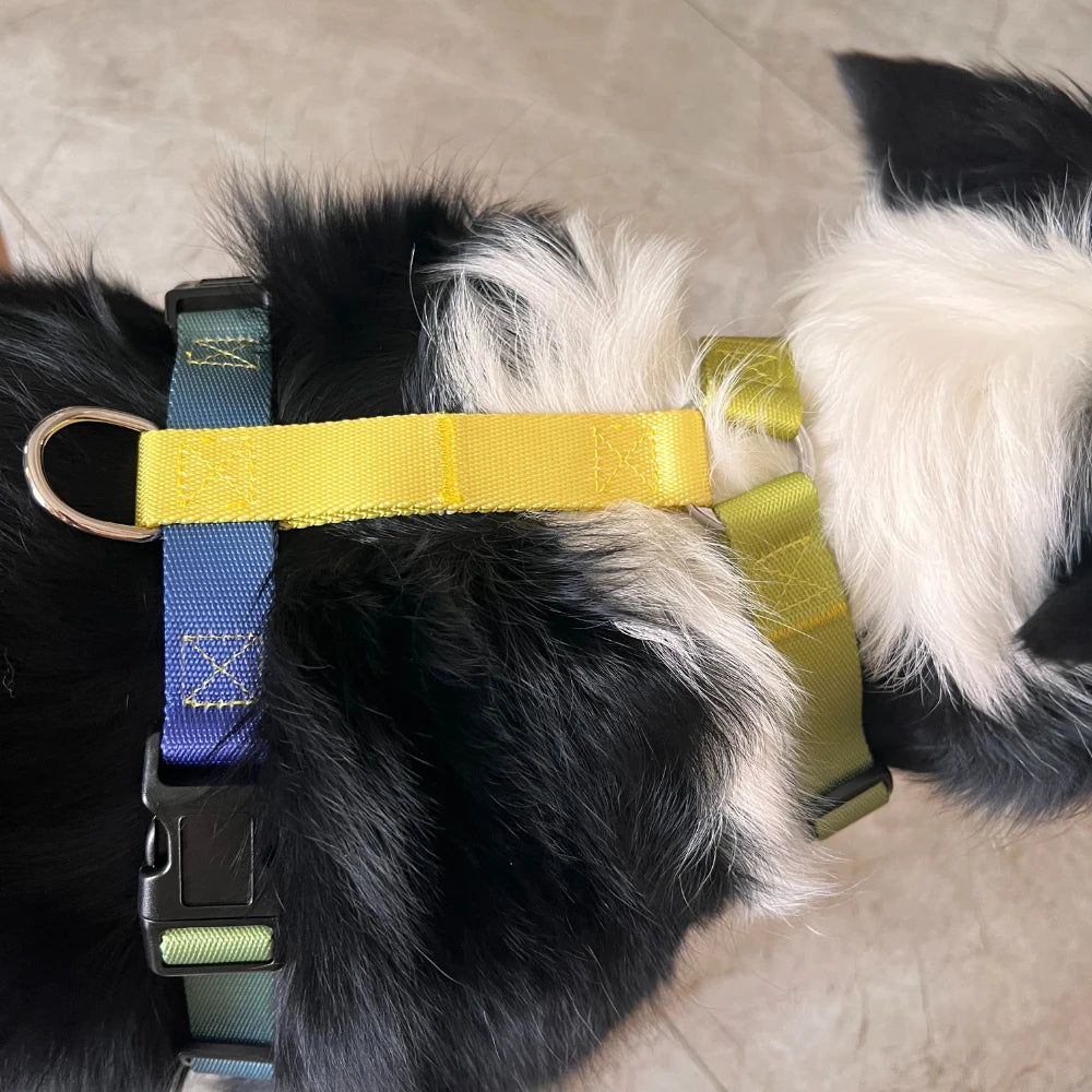 Dog chest harness and wiring harness set, waterproof nylon, anti slip, lightweight for walking dogs for all body types of dogs