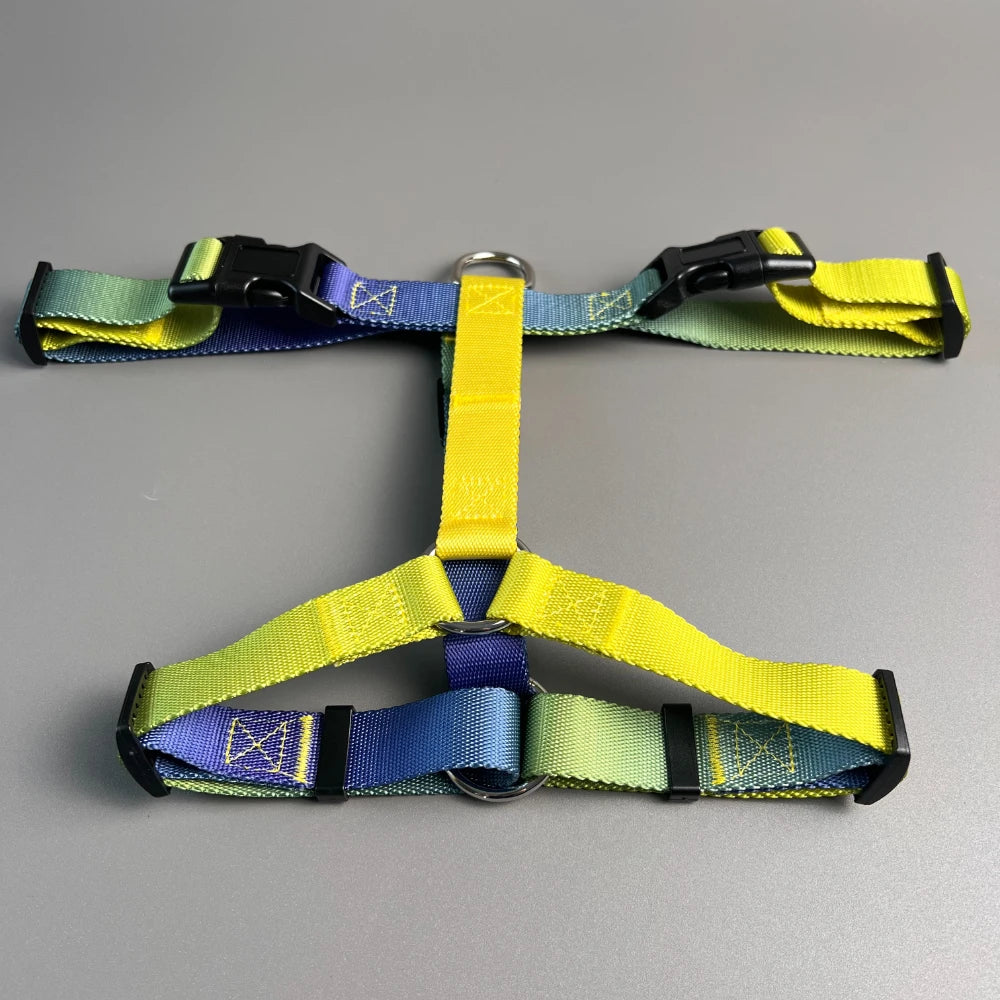 Dog chest harness and wiring harness set, waterproof nylon, anti slip, lightweight for walking dogs for all body types of dogs
