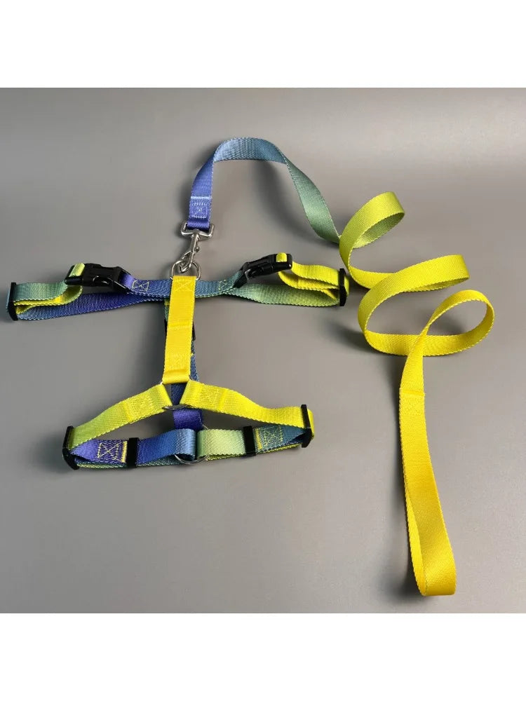 Dog chest harness and wiring harness set, waterproof nylon, anti slip, lightweight for walking dogs for all body types of dogs