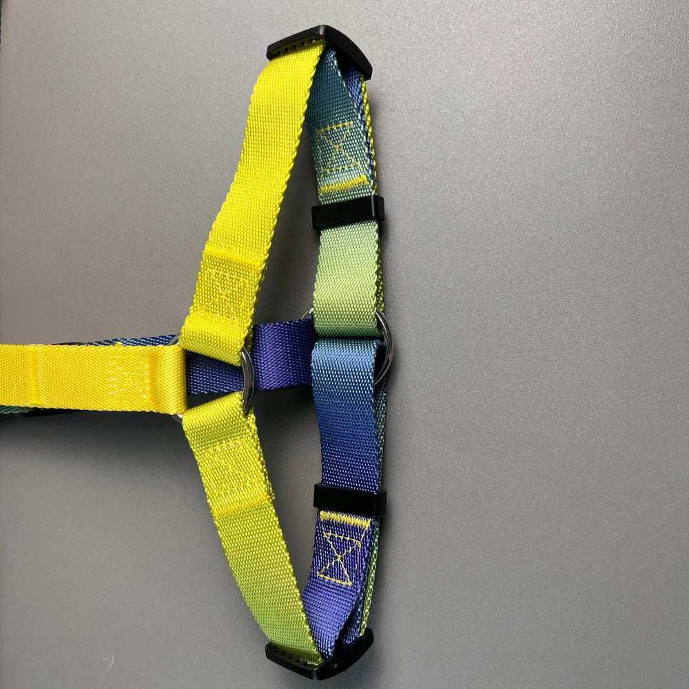 Dog chest harness and wiring harness set, waterproof nylon, anti slip, lightweight for walking dogs for all body types of dogs