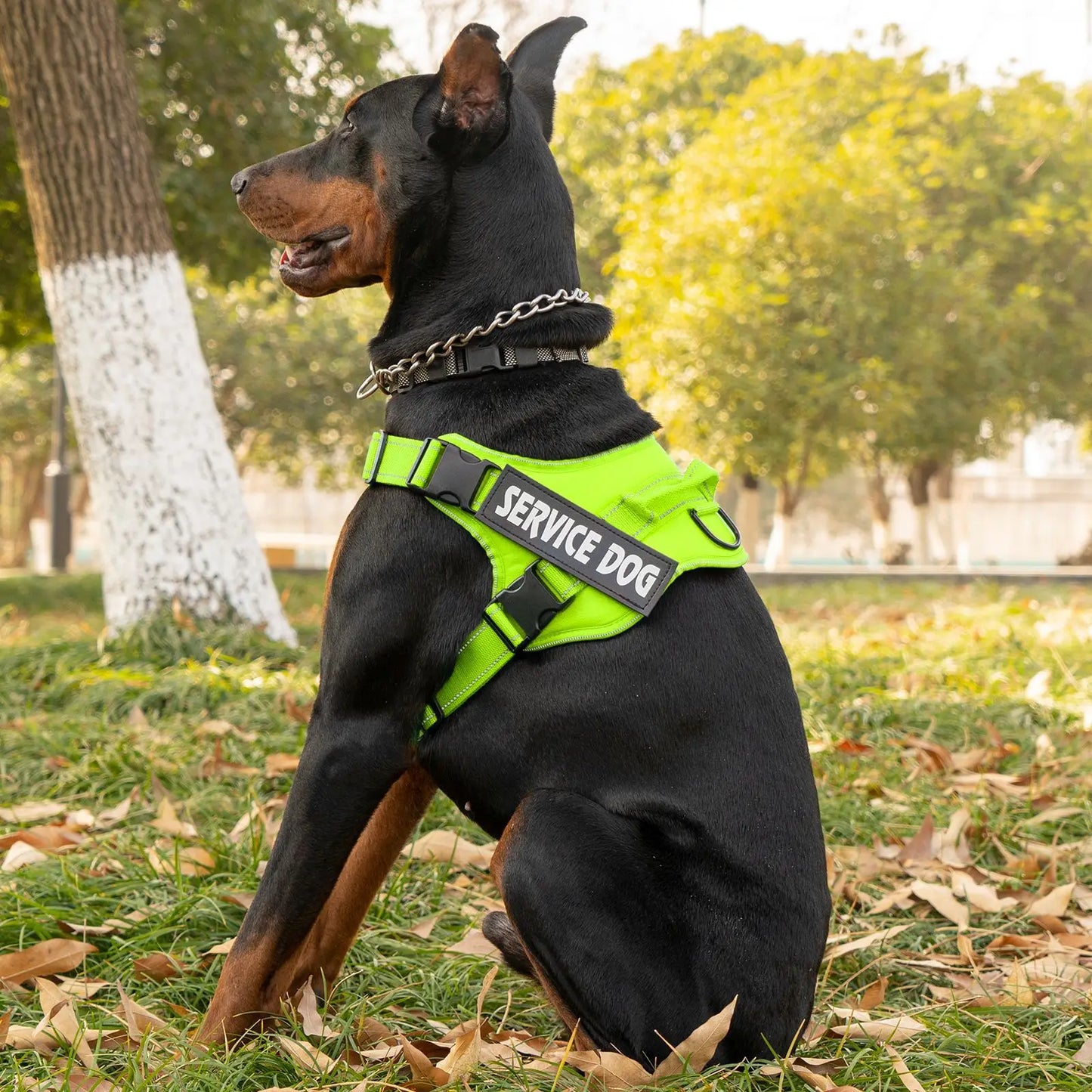 Large dog harness with handle Explosion-proof dog harness Easy to put on and take off Fashionable colors dog accessories