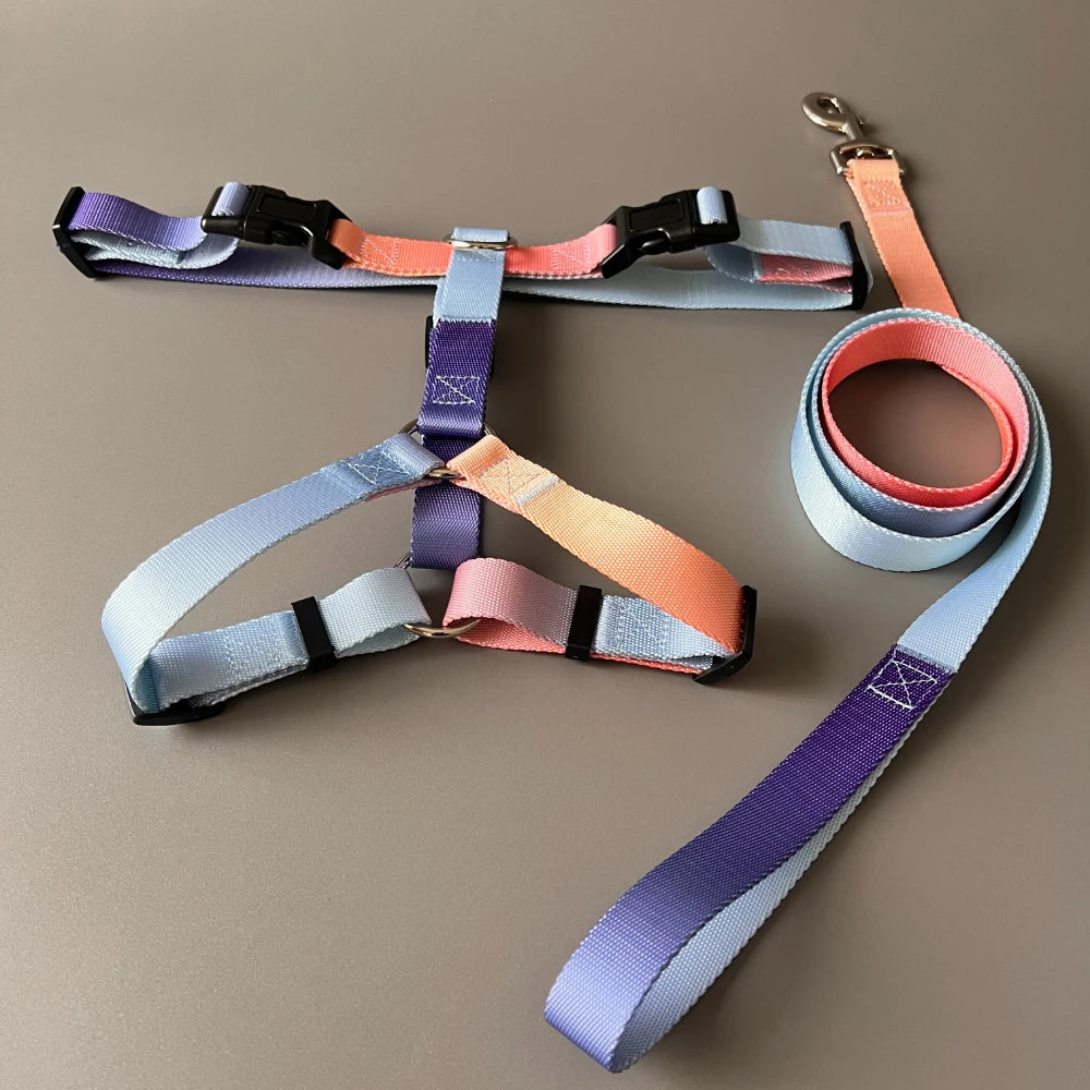 Dog chest harness and wiring harness set, waterproof nylon, anti slip, lightweight for walking dogs for all body types of dogs