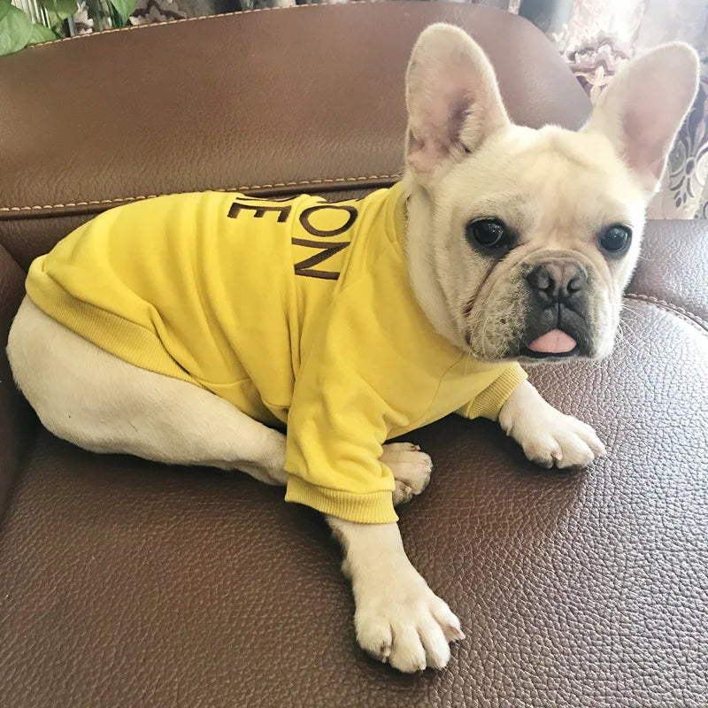 Matching pet and owner clothes embroidered letters pure cotton dog and owner same sweater teddy schnauzer pet matching clothing