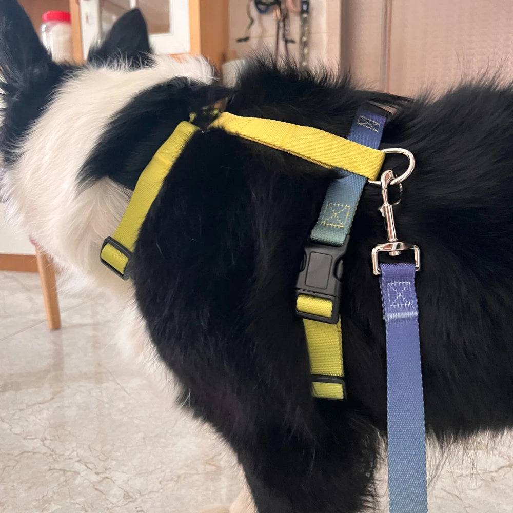 Dog chest harness and wiring harness set, waterproof nylon, anti slip, lightweight for walking dogs for all body types of dogs