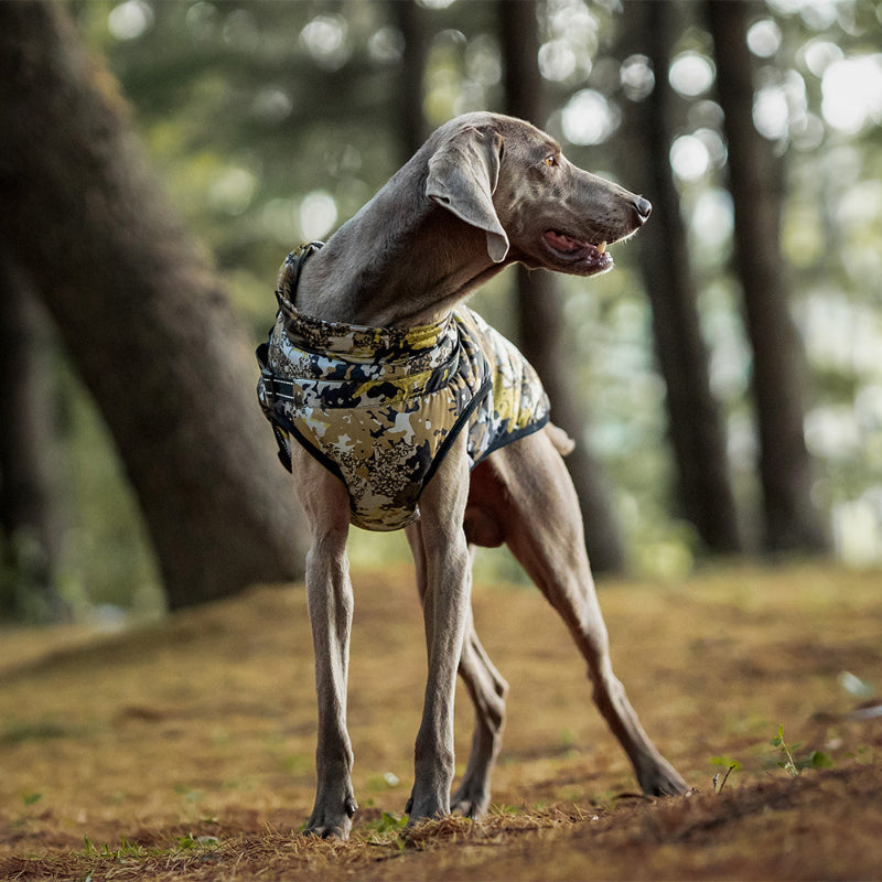 Warme Jacke für große Hunde, reflektierend, winddicht und regenfest