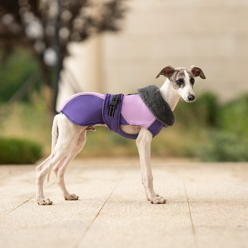 Veste d'hiver épaisse pour chien, col haut, réfléchissante et chaude, pour petits et moyens chiens