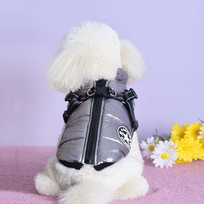 Gilet d'extérieur pour chien, chaud, réfléchissant, poitrine, dos, boucle de traction, petit chien