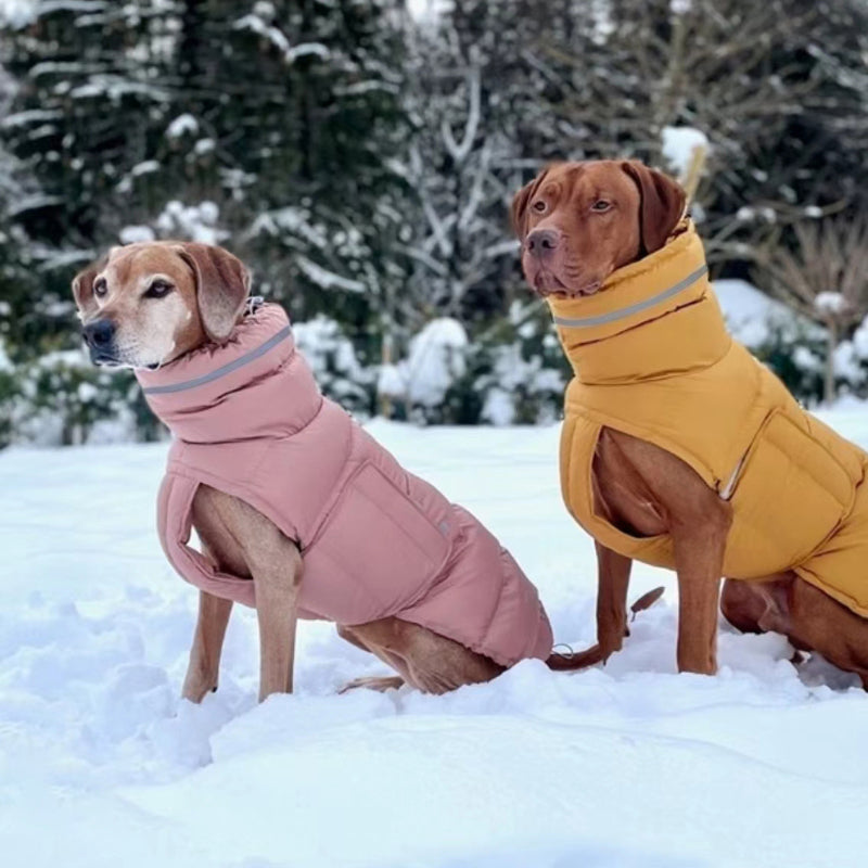 Hunde-Outdoor-Jacke, wasserdicht, winddicht, warmer Mantel
