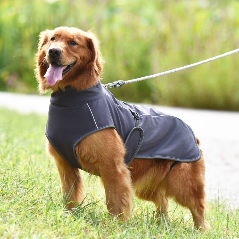 Veste d'hiver pour grands chiens Veste pour chien épaisse, chaude et imperméable