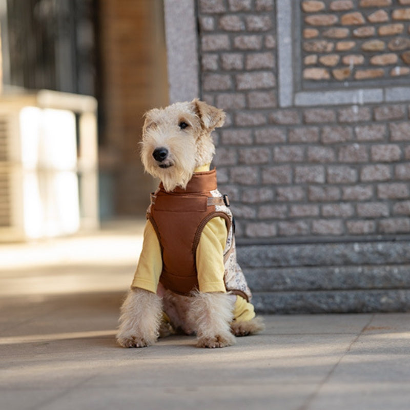 Manteau d'hiver en coton pour chienVeste de traction pour chiens de petite et moyenne taille