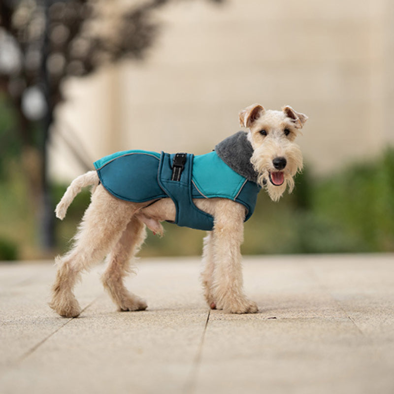 Veste d'hiver épaisse pour chien, col haut, réfléchissante et chaude, pour petits et moyens chiens