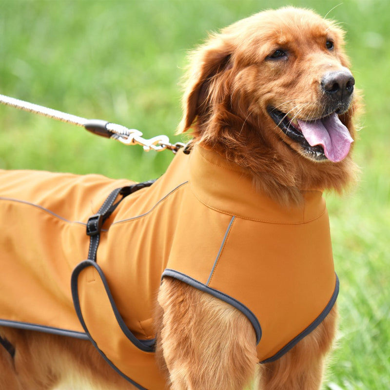 Veste d'hiver pour grands chiens Veste pour chien épaisse, chaude et imperméable