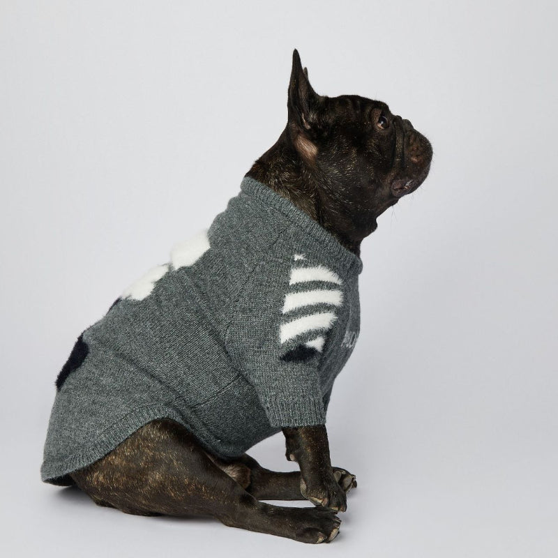 Modischer Hundepullover für Corgi, Schnauzer und Französische Bulldogge